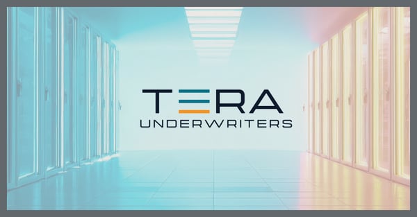 Tera Buzz Blog Image