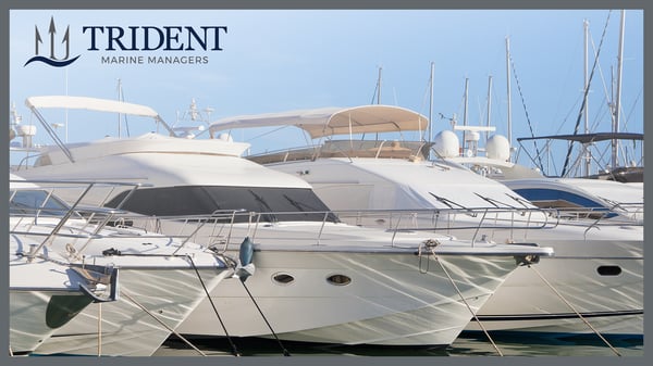 Trident Recreational Buzz Blog Image